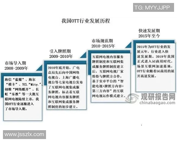 武汉排球队的崛起与发展：聚焦排球力量的背后故事与未来展望