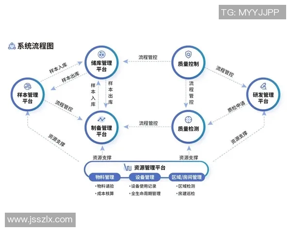 深圳篮球队区域防守革新之路探索与实践分析