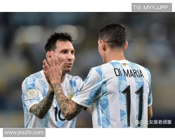 2号足球明星前锋的辉煌历程与未来展望解析