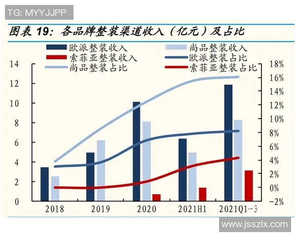 北京羽毛球队灵活性分析与战术调整的深度探讨